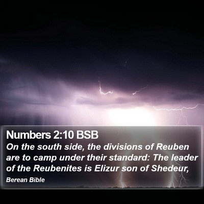 Numbers 2:10 BSB Bible Verse Image
