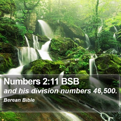Numbers 2:11 BSB Bible Verse Image
