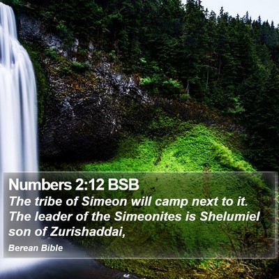 Numbers 2:12 BSB Bible Verse Image