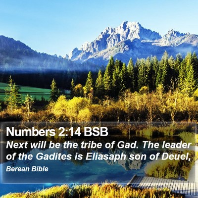 Numbers 2:14 BSB Bible Verse Image