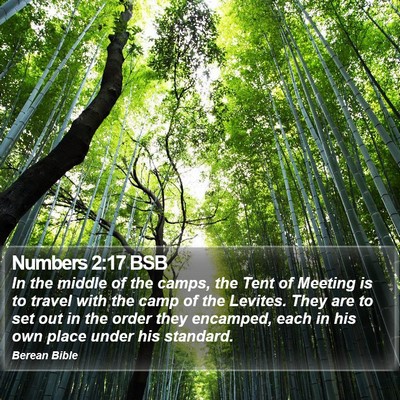 Numbers 2:17 BSB Bible Verse Image