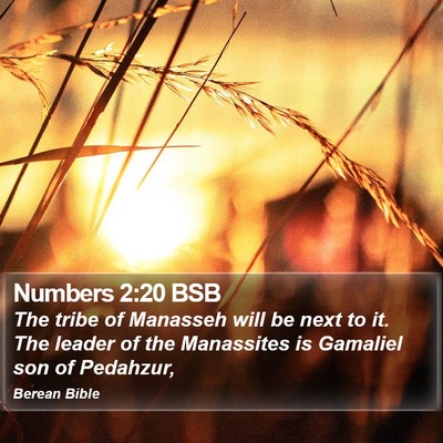 Numbers 2:20 BSB Bible Verse Image