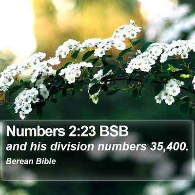 Numbers 2:23 BSB Bible Verse Image