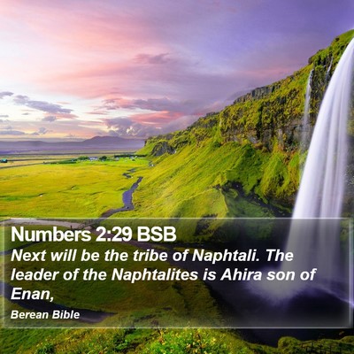 Numbers 2:29 BSB Bible Verse Image