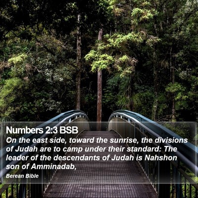 Numbers 2:3 BSB Bible Verse Image