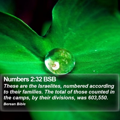 Numbers 2:32 BSB Bible Verse Image