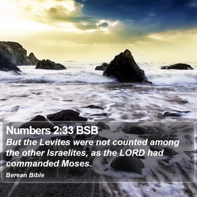 Numbers 2:33 BSB Bible Verse Image