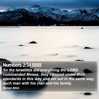 Numbers 2:34 BSB Bible Verse Image