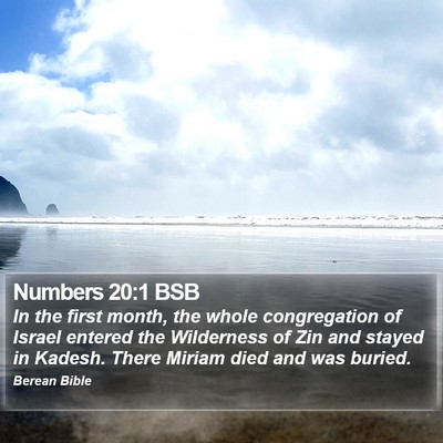 Numbers 20:1 BSB Bible Verse Image
