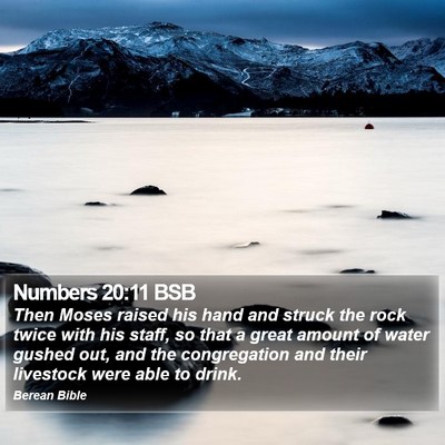 Numbers 20:11 BSB Bible Verse Image
