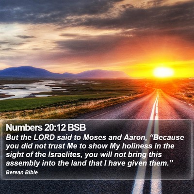 Numbers 20:12 BSB Bible Verse Image