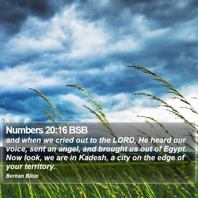 Numbers 20:16 BSB Bible Verse Image