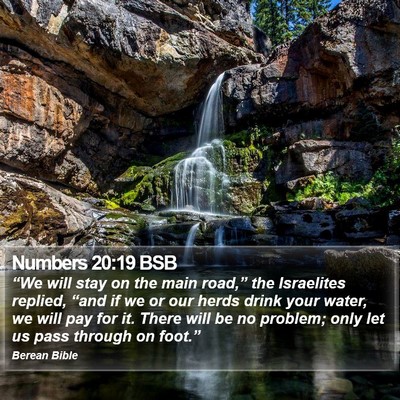 Numbers 20:19 BSB Bible Verse Image