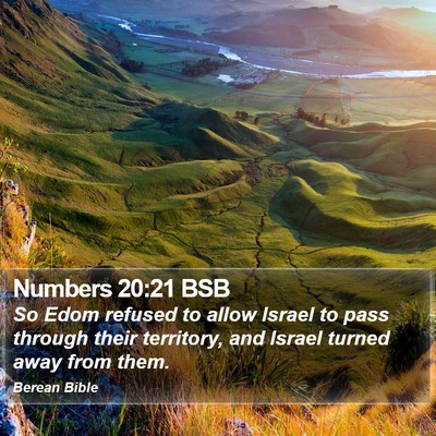 Numbers 20:21 BSB Bible Verse Image