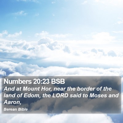 Numbers 20:23 BSB Bible Verse Image