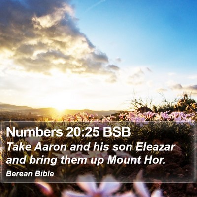 Numbers 20:25 BSB Bible Verse Image