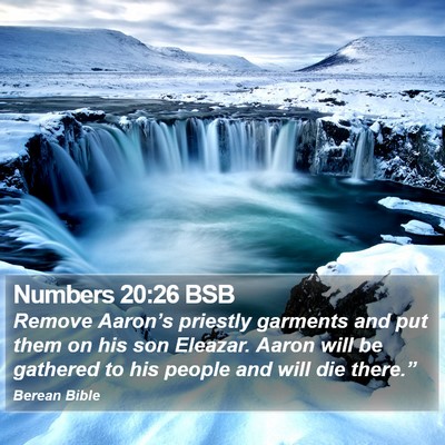 Numbers 20:26 BSB Bible Verse Image