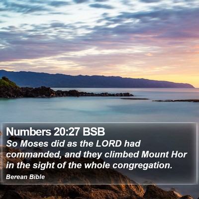 Numbers 20:27 BSB Bible Verse Image