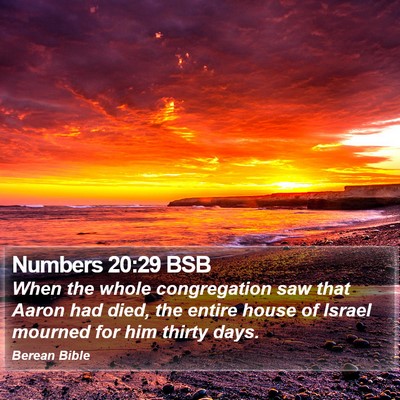Numbers 20:29 BSB Bible Verse Image