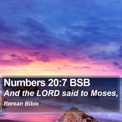Numbers 20:7 BSB Bible Verse Image