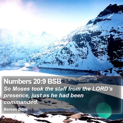 Numbers 20:9 BSB Bible Verse Image