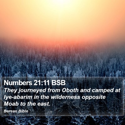 Numbers 21:11 BSB Bible Verse Image