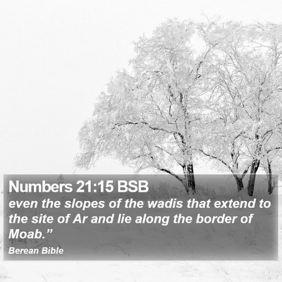 Numbers 21:15 BSB Bible Verse Image