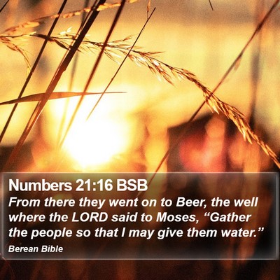 Numbers 21:16 BSB Bible Verse Image