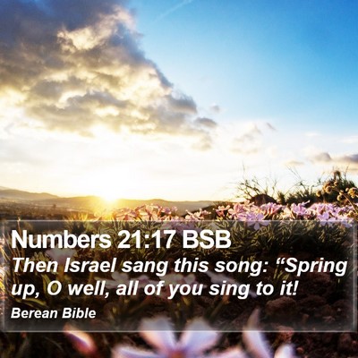 Numbers 21:17 BSB Bible Verse Image