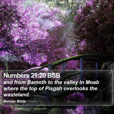 Numbers 21:20 BSB Bible Verse Image