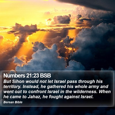 Numbers 21:23 BSB Bible Verse Image