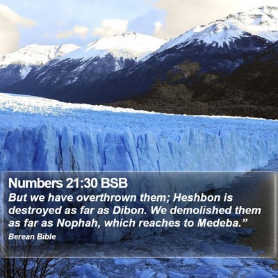Numbers 21:30 BSB Bible Verse Image