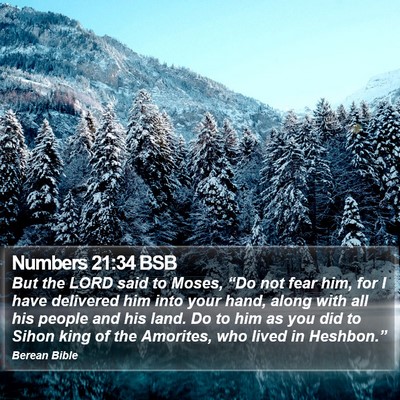 Numbers 21:34 BSB Bible Verse Image