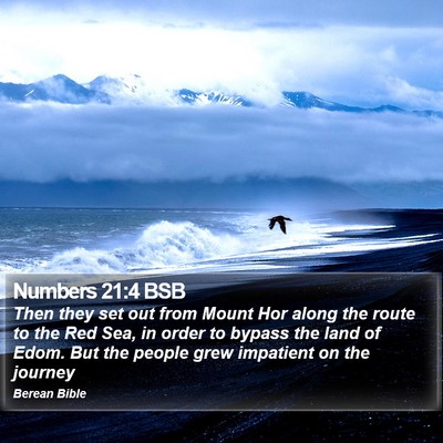 Numbers 21:4 BSB Bible Verse Image