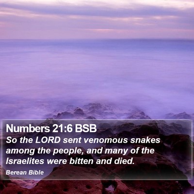 Numbers 21:6 BSB Bible Verse Image