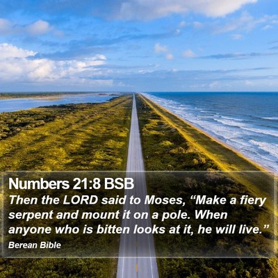 Numbers 21:8 BSB Bible Verse Image