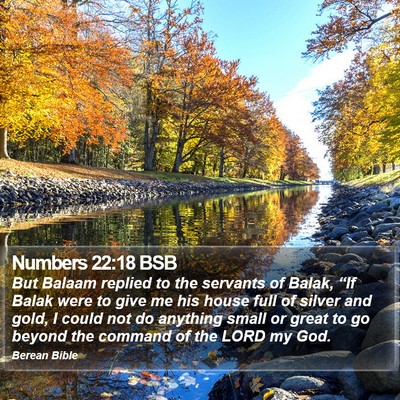 Numbers 22:18 BSB Bible Verse Image