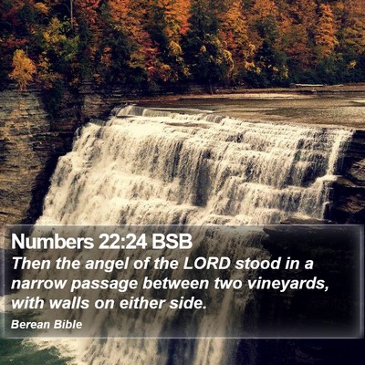 Numbers 22:24 BSB Bible Verse Image