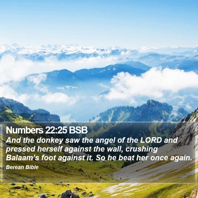 Numbers 22:25 BSB Bible Verse Image