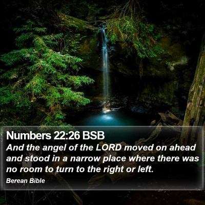 Numbers 22:26 BSB Bible Verse Image