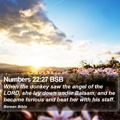 Numbers 22:27 BSB Bible Verse Image