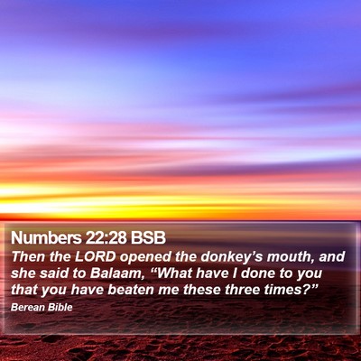Numbers 22:28 BSB Bible Verse Image