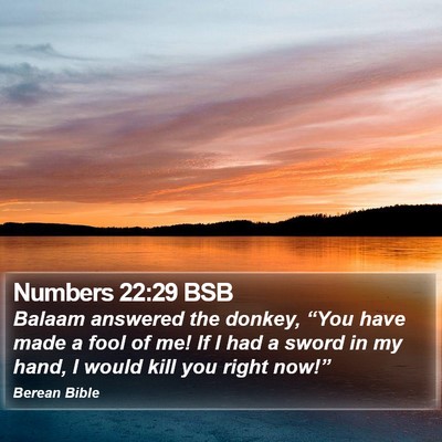 Numbers 22:29 BSB Bible Verse Image