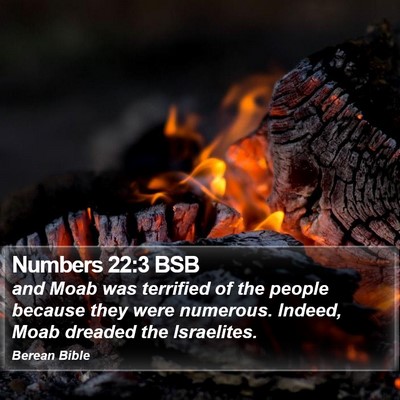 Numbers 22:3 BSB Bible Verse Image