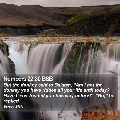 Numbers 22:30 BSB Bible Verse Image
