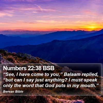 Numbers 22:38 BSB Bible Verse Image
