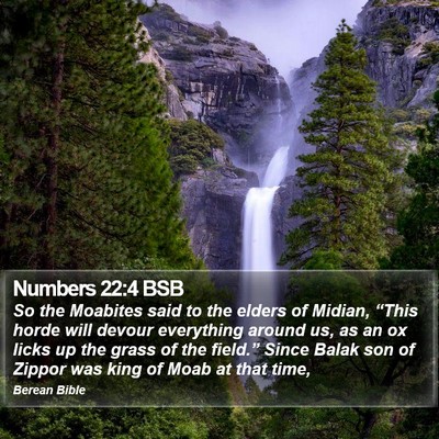 Numbers 22:4 BSB Bible Verse Image