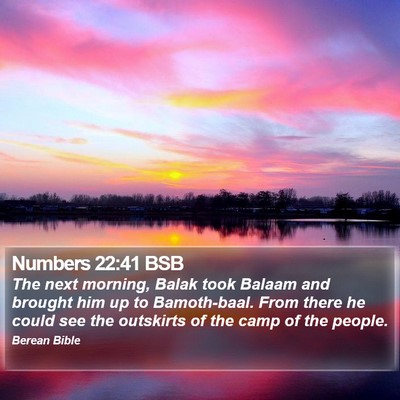 Numbers 22:41 BSB Bible Verse Image