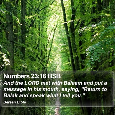 Numbers 23:16 BSB Bible Verse Image