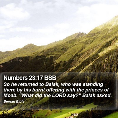 Numbers 23:17 BSB Bible Verse Image